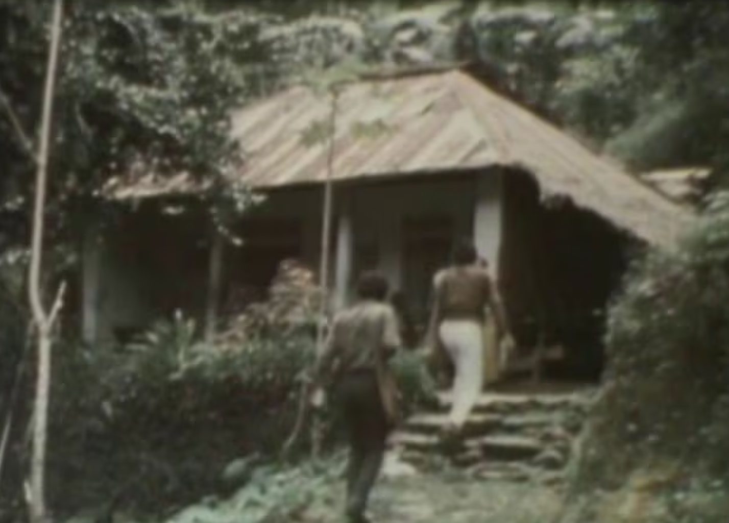 From the Archives: Introducing Every Home for Christ
