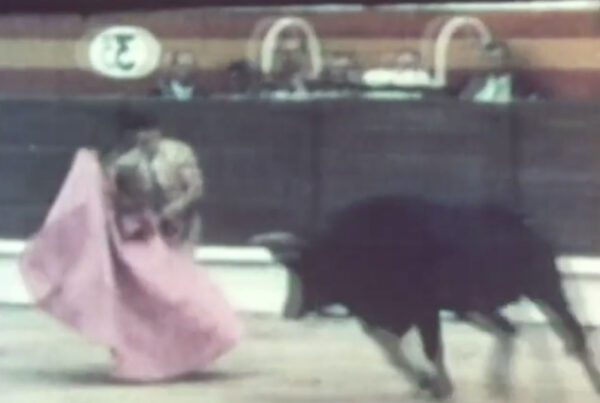 fiesta brava