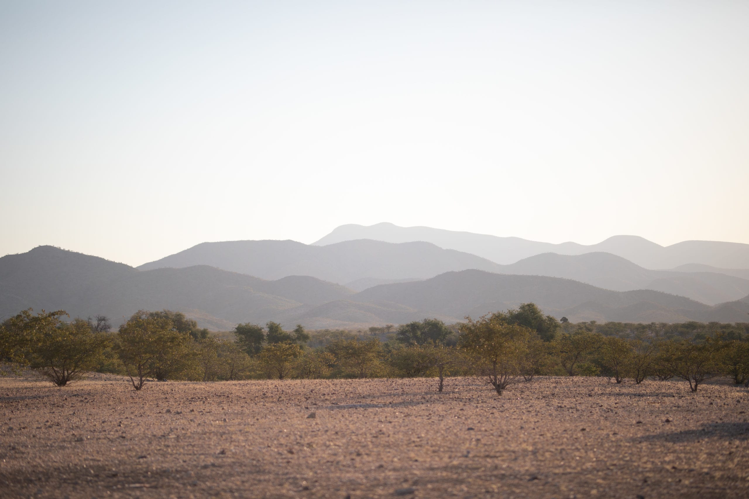 Namibia: Desert Nomads