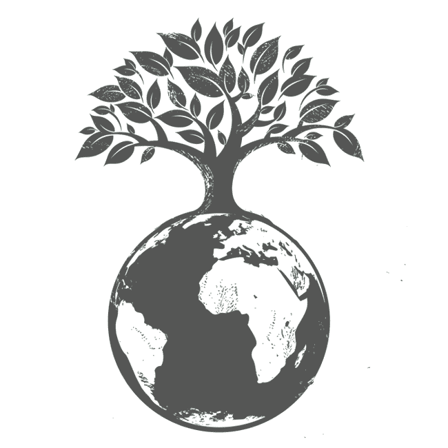 Discovery Method Every Home