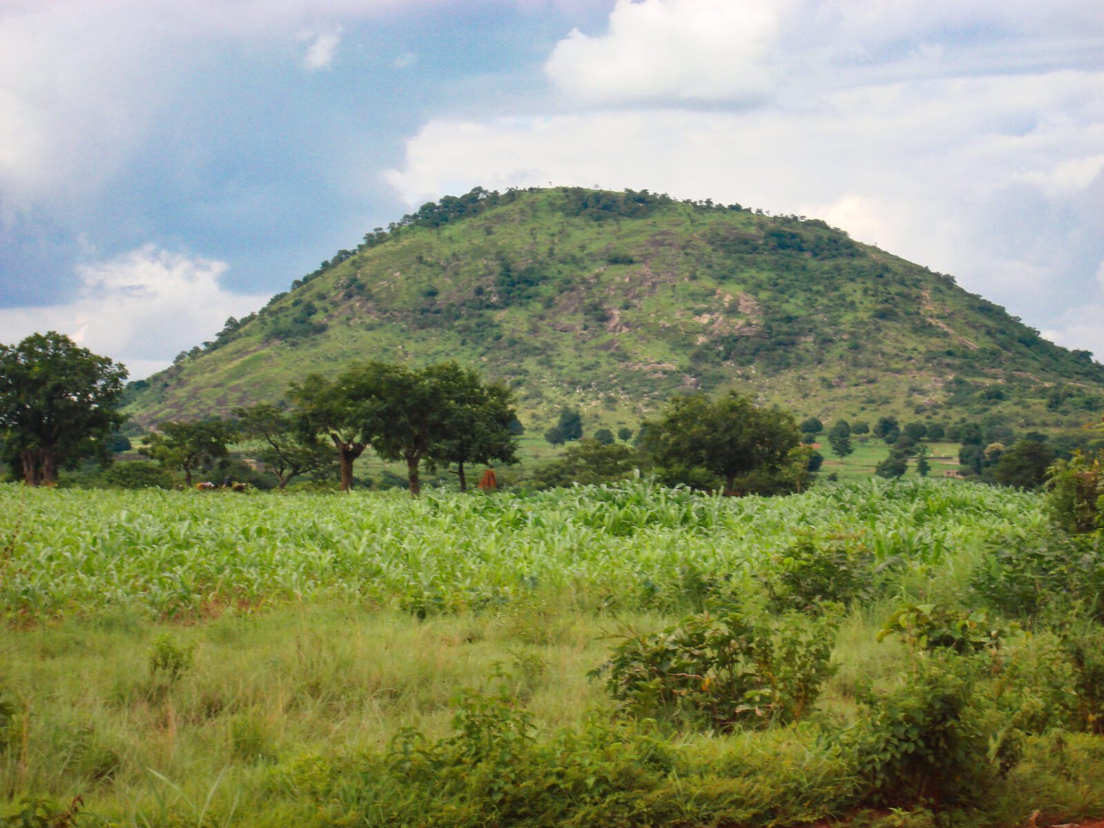 mont korhogo