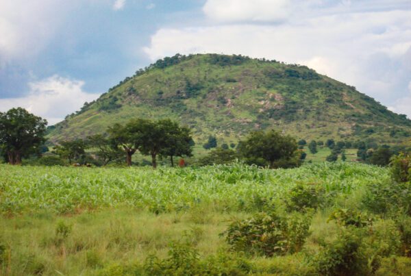 mont korhogo